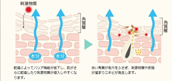 【rufinaルフィーナ】